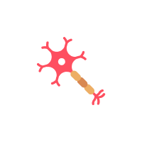 category_name